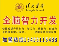全脑智力开发